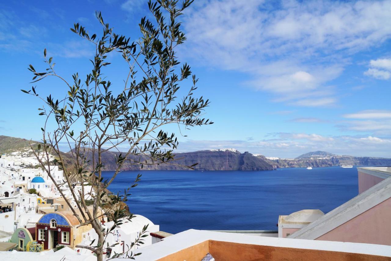 Oasis With Caldera View Casa vacanze Oia (Santorini)